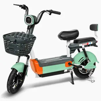 Electric Bike 48v Battery