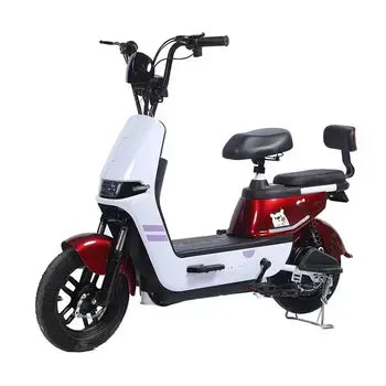 Waterproof Marine Electric Scooter
